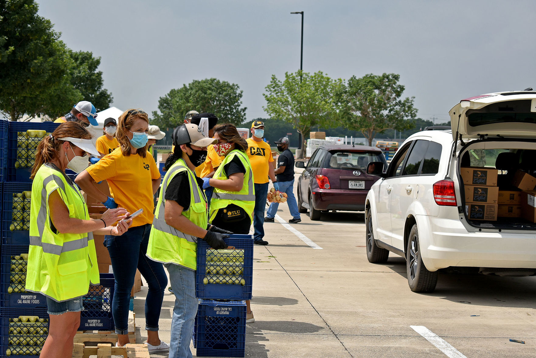 Caterpillar Food Distribution